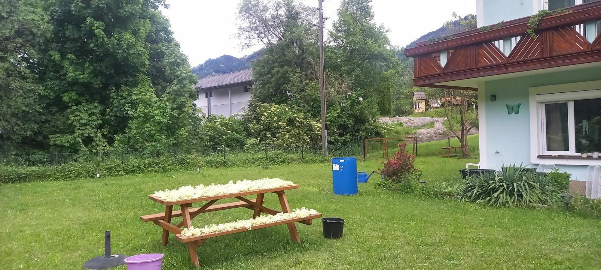 Alie Gusta Apartamento Hermagor-Pressegger See Exterior foto